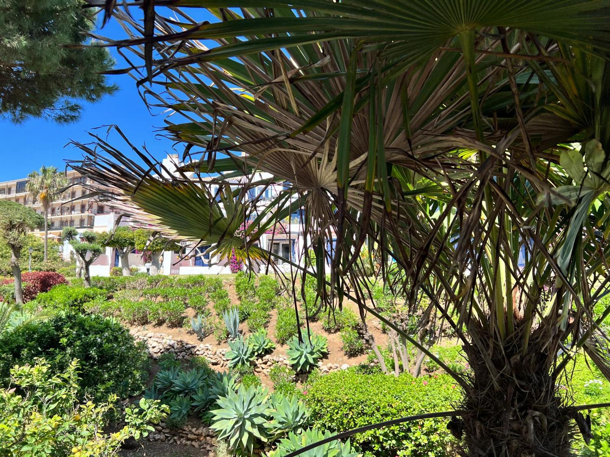 Newly Renovated 2 Bedroom Beachfront House Sitio de Calahonda Exteriör bild